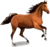 Cavalo